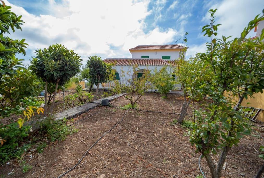 Villa Teram Alajeró Eksteriør billede